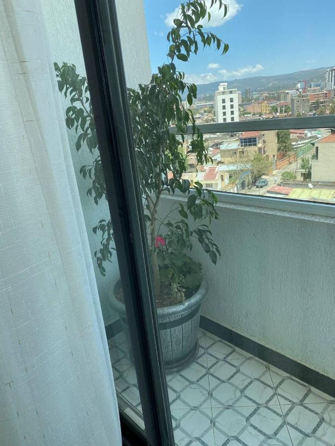 Ecco Modern Guest House Addis Ababa Eksteriør billede